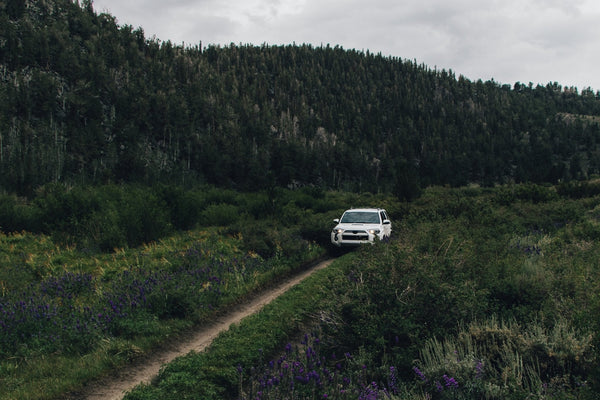 A white Toyota 4Runner drives along a narrow dirt trail surrounded by wildflowers and dense green vegetation during the Coyote Flats overland trip, September 4–7, 2026.