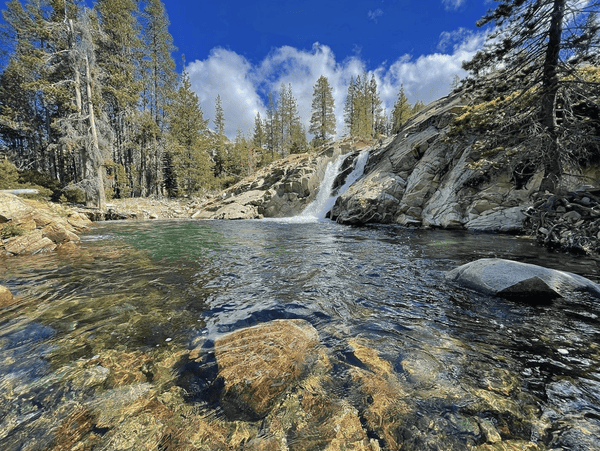 Clear mountain pool with rocks underwater and a small waterfall surrounded by pine trees on the Tahoe to Lassen Weekend Offroad trip.