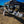Desert Experience