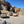 Group of dusty off-road trucks parked along a rocky canyon trail in Death Valley, with people standing near the vehicles under a bright blue sky.